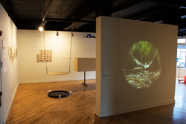 01_Davidson_Installation_View