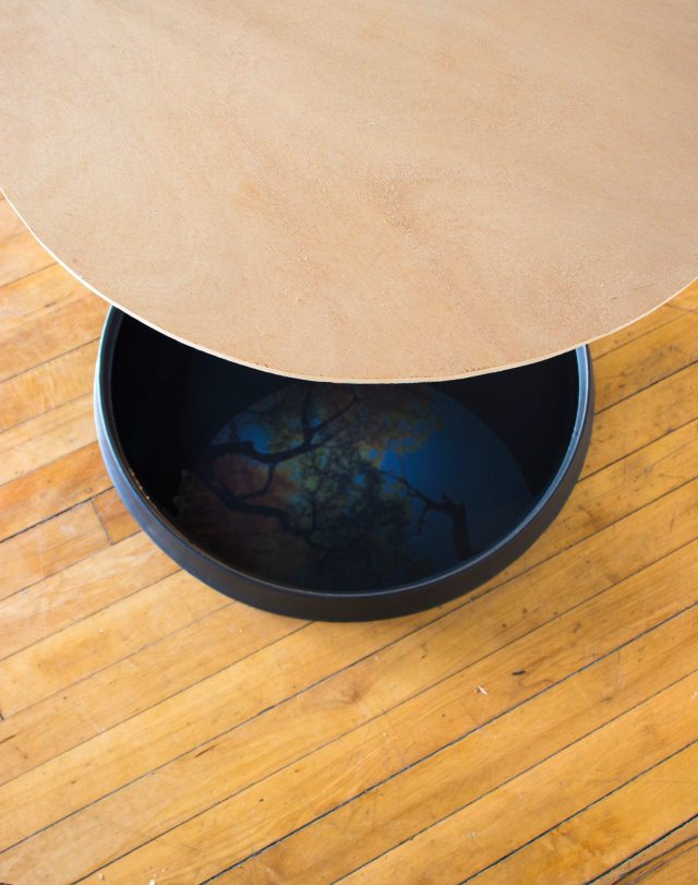 07_Davidson_With_In_Detail